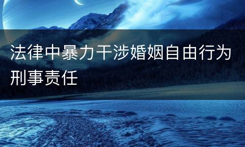 法律中暴力干涉婚姻自由行为刑事责任