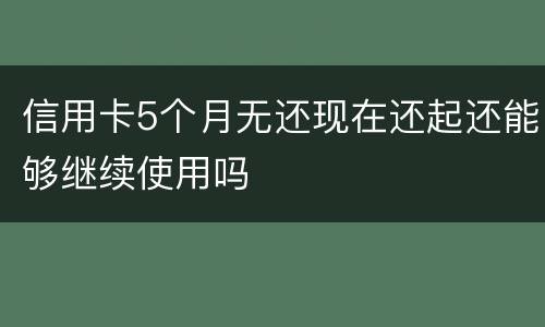 信用卡5个月无还现在还起还能够继续使用吗