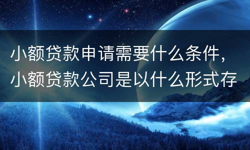 小额贷款申请需要什么条件，小额贷款公司是以什么形式存在的