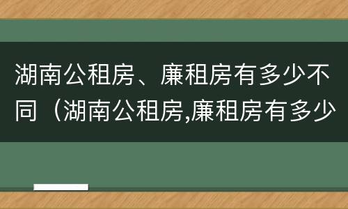 湖南公租房、廉租房有多少不同（湖南公租房,廉租房有多少不同的）