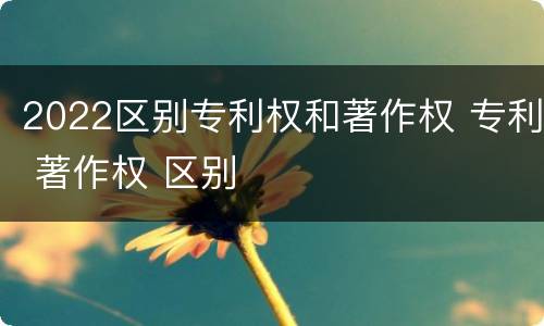 2022区别专利权和著作权 专利 著作权 区别