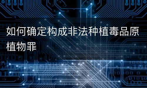 如何确定构成非法种植毒品原植物罪