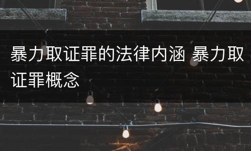 暴力取证罪的法律内涵 暴力取证罪概念