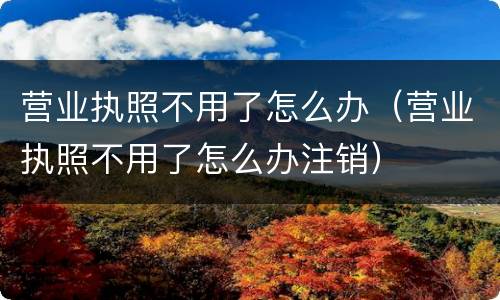 营业执照不用了怎么办（营业执照不用了怎么办注销）