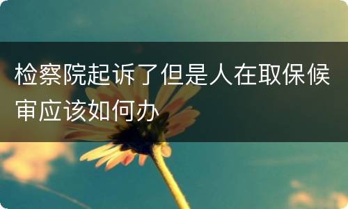 检察院起诉了但是人在取保候审应该如何办