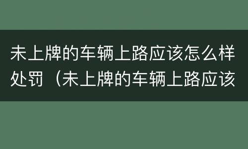 未上牌的车辆上路应该怎么样处罚（未上牌的车辆上路应该怎么样处罚呢）