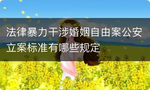 法律暴力干涉婚姻自由案公安立案标准有哪些规定