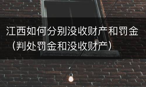 江西如何分别没收财产和罚金（判处罚金和没收财产）