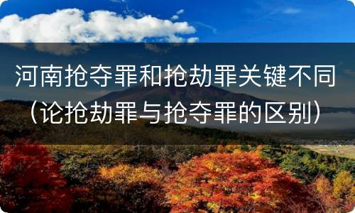 河南抢夺罪和抢劫罪关键不同（论抢劫罪与抢夺罪的区别）