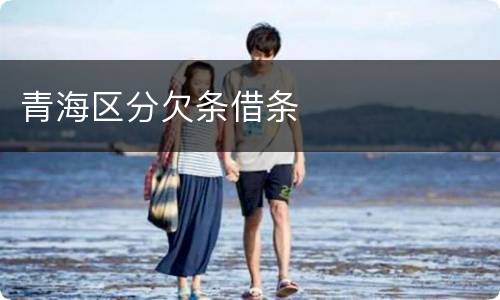 青海区分欠条借条