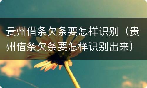 贵州借条欠条要怎样识别（贵州借条欠条要怎样识别出来）