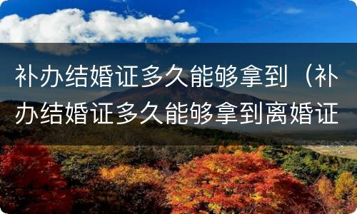 补办结婚证多久能够拿到（补办结婚证多久能够拿到离婚证）
