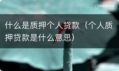 什么是质押个人贷款（个人质押贷款是什么意思）