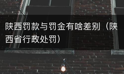 陕西罚款与罚金有啥差别（陕西省行政处罚）