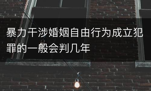 暴力干涉婚姻自由行为成立犯罪的一般会判几年
