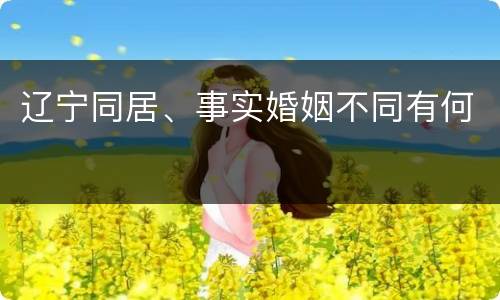 辽宁同居、事实婚姻不同有何