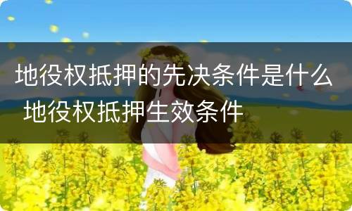 地役权抵押的先决条件是什么 地役权抵押生效条件