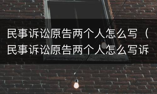 民事诉讼原告两个人怎么写（民事诉讼原告两个人怎么写诉状）