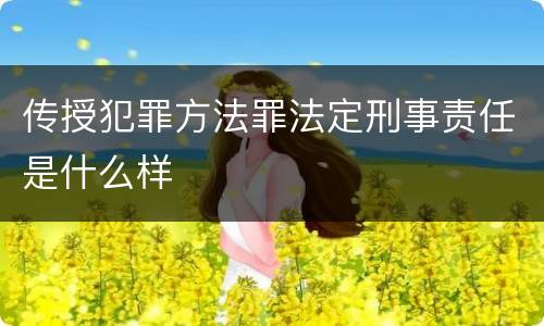 传授犯罪方法罪法定刑事责任是什么样