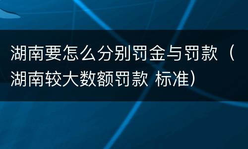 湖南要怎么分别罚金与罚款（湖南较大数额罚款 标准）