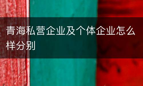 青海私营企业及个体企业怎么样分别