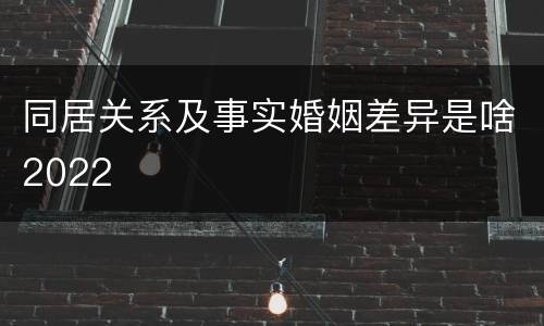 同居关系及事实婚姻差异是啥2022