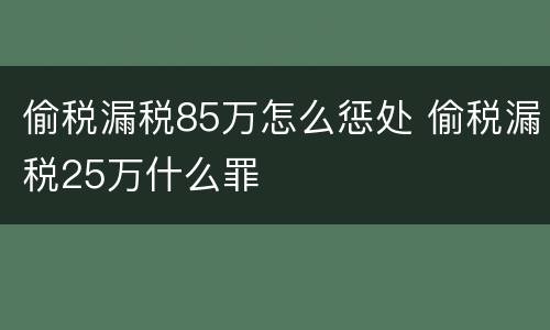 偷税漏税85万怎么惩处 偷税漏税25万什么罪