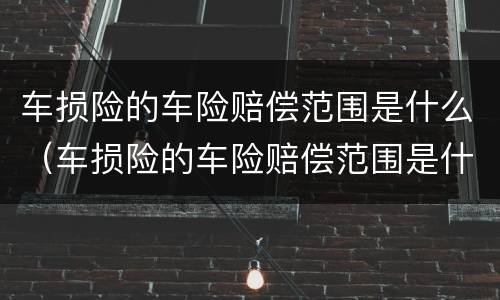 车损险的车险赔偿范围是什么（车损险的车险赔偿范围是什么呢）