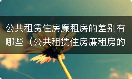 公共租赁住房廉租房的差别有哪些（公共租赁住房廉租房的差别有哪些呢）