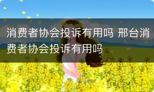 消费者协会投诉有用吗 邢台消费者协会投诉有用吗