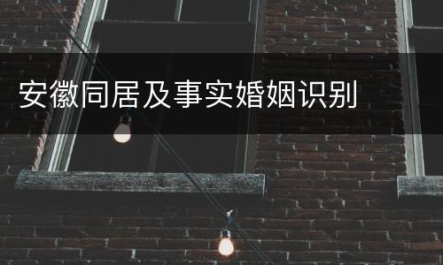 安徽同居及事实婚姻识别