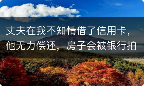 丈夫在我不知情借了信用卡，他无力偿还，房子会被银行拍卖吗