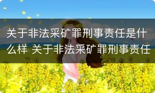 关于非法采矿罪刑事责任是什么样 关于非法采矿罪刑事责任是什么样的规定