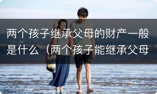 两个孩子继承父母的财产一般是什么（两个孩子能继承父母的全部财产吗）