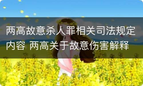 两高故意杀人罪相关司法规定内容 两高关于故意伤害解释