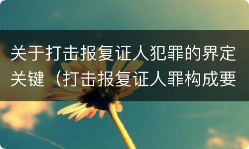 关于打击报复证人犯罪的界定关键（打击报复证人罪构成要件）