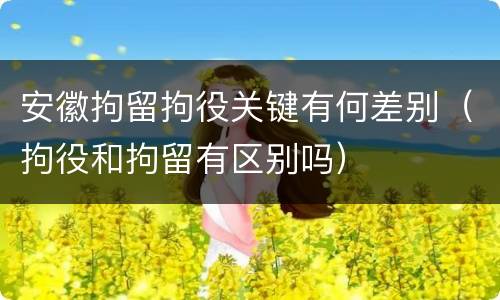 安徽拘留拘役关键有何差别（拘役和拘留有区别吗）