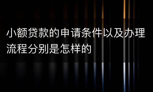小额贷款的申请条件以及办理流程分别是怎样的