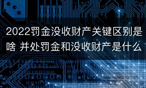 2022罚金没收财产关键区别是啥 并处罚金和没收财产是什么意思
