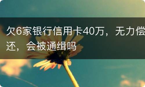 欠6家银行信用卡40万，无力偿还，会被通缉吗