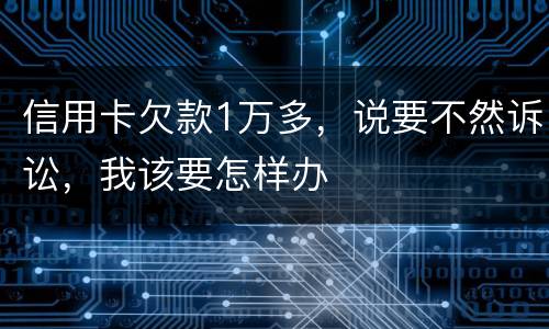 信用卡欠款1万多，说要不然诉讼，我该要怎样办