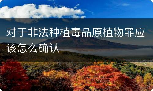 对于非法种植毒品原植物罪应该怎么确认