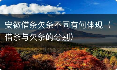 安徽借条欠条不同有何体现（借条与欠条的分别）