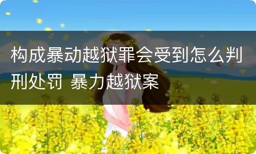 构成暴动越狱罪会受到怎么判刑处罚 暴力越狱案