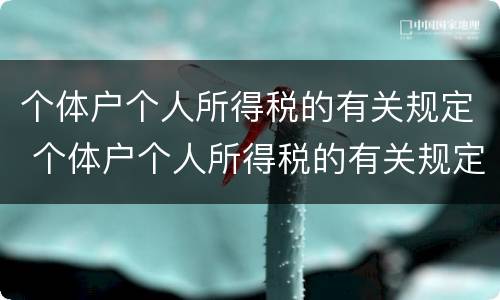 个体户个人所得税的有关规定 个体户个人所得税的有关规定是什么