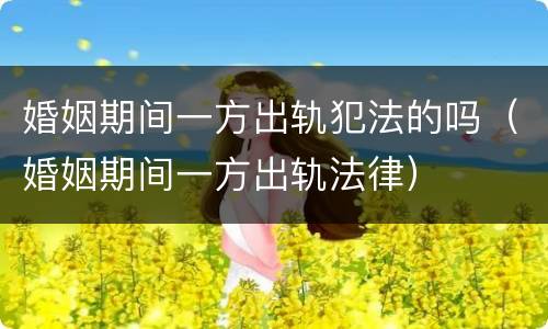婚姻期间一方出轨犯法的吗（婚姻期间一方出轨法律）