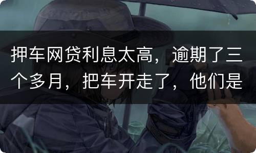 押车网贷利息太高，逾期了三个多月，把车开走了，他们是非法的，我该怎么办