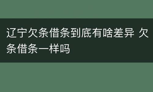 辽宁欠条借条到底有啥差异 欠条借条一样吗