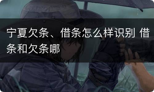 宁夏欠条、借条怎么样识别 借条和欠条哪