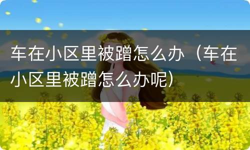 车在小区里被蹭怎么办（车在小区里被蹭怎么办呢）